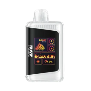 New York Mint - Raz DC25000 disposable vape