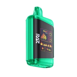 Wintergreen - Raz DC25000 disposable vape